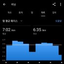 마라톤 신생아의 아침 훈련(feat. 달토끼 선배님들) 이미지