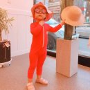 스윗캥거루 이미지