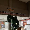 보물섬 오락실 | 🎮 중문 액트몬 제주 | 80종의 오락게임 천국(제주 실내관광지, 제주투어패스 이용)