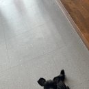 인물나개 이미지