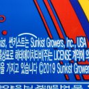 해태에이치티비주식회사 이미지