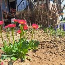 칠갑산까치내팬션 이미지