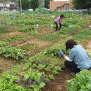 야호농장 이미지