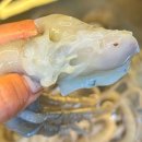 목포세발낙지 | 목포 뻘낙지 직송! 살아 있는 세발낙지로 만든 낙지볶음 후기