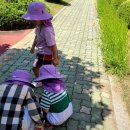 다목초병설유치원 이미지