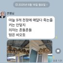 마늘 매달다 가실뻔한 큰 옵빵 이미지