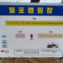 월포해수욕장야영장 이미지