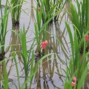 용늪펜션 이미지