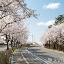 고인돌공원 이미지