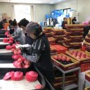 단양죽령사과 이미지