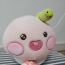 뽑아브러 이미지