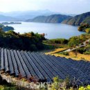 다음세대 태권도 네이버블로그