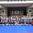 용인대금메달태권도(중계) 이미지