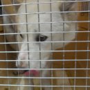 은천동-25 이미지