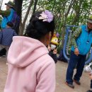 풍영초교병설유치원 이미지