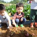 EPS어린이집 이미지