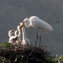 백로마을 이미지