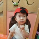 특별활동 오감:나는 무당벌레🐞 이미지