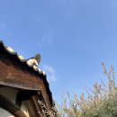화순꽃화원