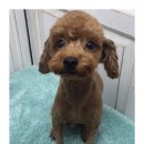 몽글 몽글 이미지