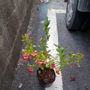 플로리다 농장 이미지