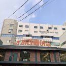 코끼리문구 | 성수 놀거리 코끼리베이글,팝업,문구,서점, 맛집 후기
