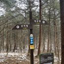 음지마을 | [공지] 2월 설 연휴 겨울 선자령 등산 코스 및 후기