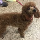 청조동물병원 이미지