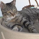 태훈농장 이미지