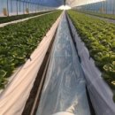 윤찬농장 이미지