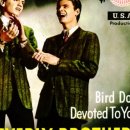 컨츄리Dog 이미지