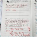 신안성장 이미지