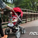 고창 선운산도립공원 무장애나눔길 조성 뉴스1