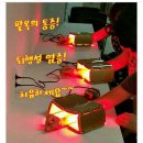 두루동물병원 | 동물병원 레이저 치료대신? 반려동물 보호자들이 라파402를 찾는 이유