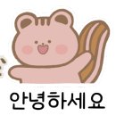 뜬담