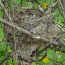 숲속작은집 이미지