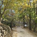 고산사 대웅전 | [대전시 식장산 고산사] 대전에서 가장 오래된 사찰의 부처님