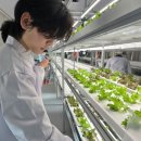 국립공주대학교 대학원 이미지