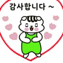 루페스 빅풋 디테일링센터 광주점 이미지