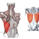 랩스 월평점 이미지