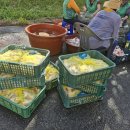 공음실내체육관 이미지