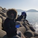 욜로인 게스트 하우스 이미지