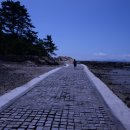 소등섬민박 이미지