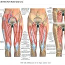 대왕초등학교 이미지