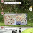 [경기 광주] Fleur chez moi 플레르쉐무아 경기광주점 | 귀여운 말티즈 꽃다발 선물
