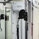 트렌디바디 이미지