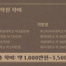 부산외국어대학교 통역번역대학원 이미지