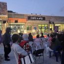 느티나무 이미지