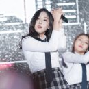 신비 카카오 검색결과