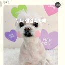 대전가원학교 | 2월부터 3월까지